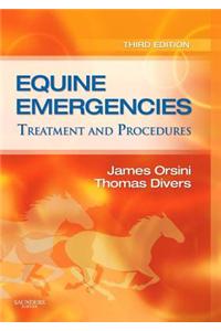 Equine Emergencies E-Book