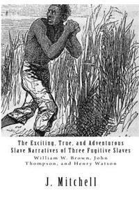 The Exciting, True, and Adventurous Slave Narratives of Three Fugitive Slaves