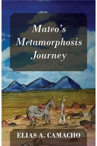 Mateo's Metamorphosis Journey