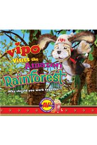 Vipo in Brazil