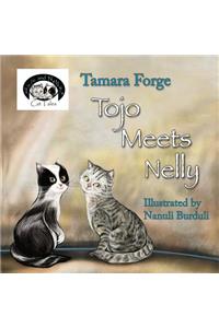 Tojo Meets Nelly