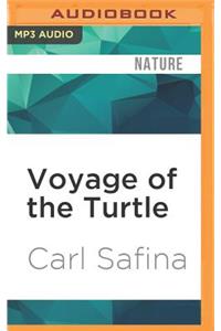 Voyage of the Turtle