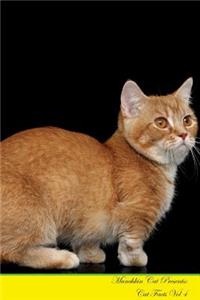 Munchkin Cat Presents