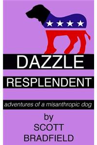 Dazzle Resplendent