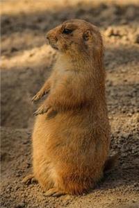 Prairie Dog Animal Journal