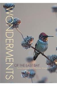 Wonderments of the East Bay