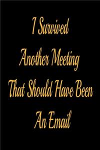I Survived Another Meeting That Should Have Been An Email - lined notebook journal