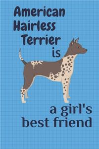 American Hairless Terrier is a girl's best friend