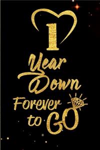 1 Year Down Forever to Go