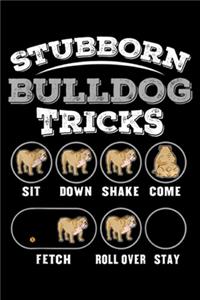 Stubborn Bulldog Tricks sit down shake come fetch roll over stay