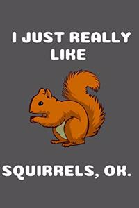 I Just Really Like Squirrels Ok