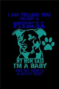 I am Telling you I'm not a Pitbull. My Mom Said I'm a Baby and my Mom is Always Right