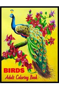 BIRDS Adult Coloring Book