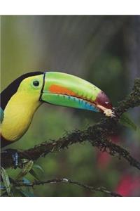 Keel Billed Toucan Notebook Large Size 8.5 x 11 Ruled 150 Pages