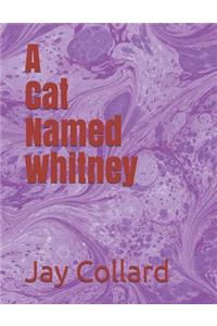 A Cat Named Whitney