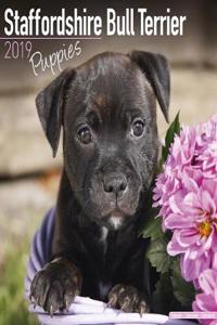 Staffordshire Bull Terrier Puppies Calendar 2019