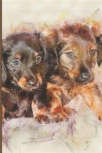 Dachshund Lovers Blank Lined Journal Notebook
