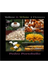 Yellow & White Flowers