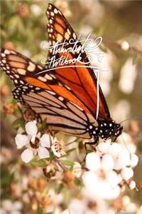 Naturalists Notebook