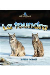 La Toundra (Tundra Food Chains)