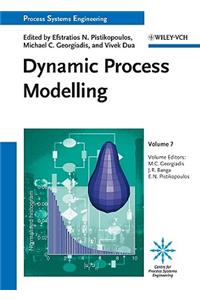 Dynamic Process Modeling