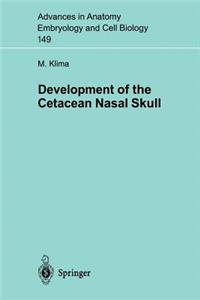 Development of the Cetacean Nasal Skull