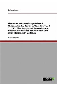 Sinnsuche Und Identitatsproblem in Christian Krachts Romanen 
