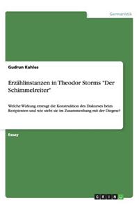 Erzählinstanzen in Theodor Storms 