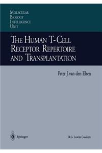 Human T-Cell Receptor Repertoire and Transplantation