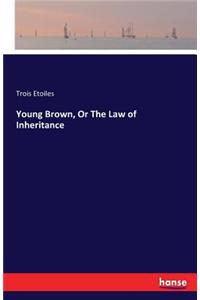 Young Brown, Or The Law of Inheritance