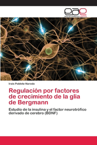 Regulación por factores de crecimiento de la glia de Bergmann