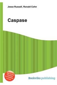 Caspase