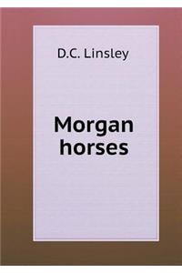 Morgan Horses