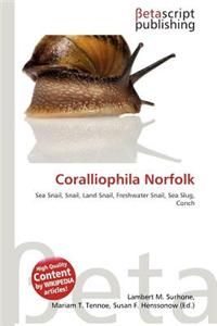 Coralliophila Norfolk