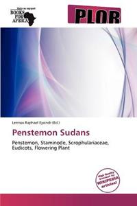 Penstemon Sudans