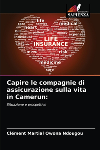 Capire le compagnie di assicurazione sulla vita in Camerun