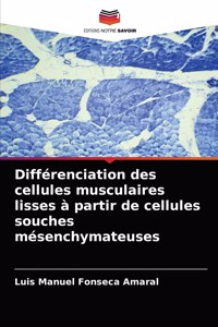 Différenciation des cellules musculaires lisses à partir de cellules souches mésenchymateuses