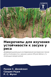 Микрочипы для изучения устойчивости к зас