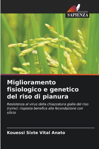 Miglioramento fisiologico e genetico del riso di pianura