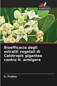 Bioefficacia degli estratti vegetali di Calotropis gigantea contro H. armigera