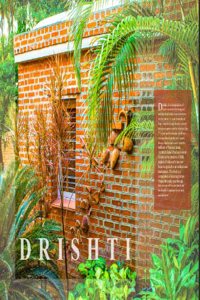 Drishti