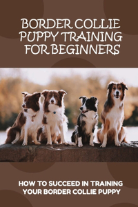 Border Collie Puppy Training For Beginners