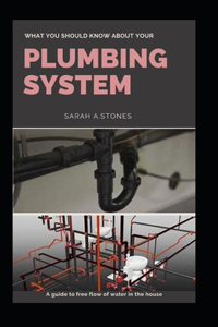 What You Should Know About Your Plumbing System