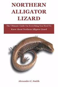 Northern Alligator Lizard: The Ultimate Guide On Everything You Need To Know About Northern Alligator Lizard