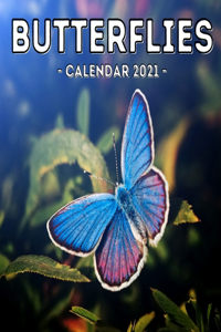 Butterflies Calendar 2021