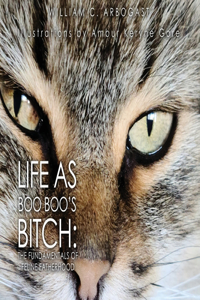 Life as Boo Boo's Bitch