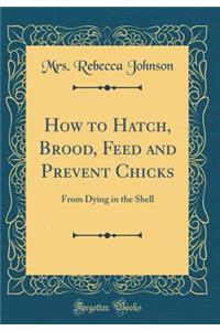 How to Hatch, Brood, Feed and Prevent Chicks
