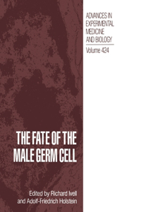 Fate of the Male Germ Cell