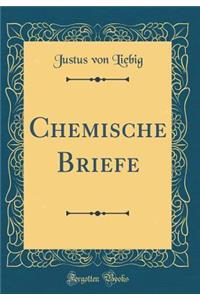 Chemische Briefe (Classic Reprint)