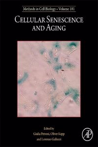 Cellular Senescence and Aging